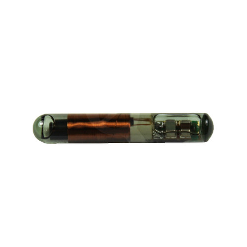 Texas tp02 glass - id,
