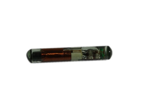 Ford immobilizzatore chip - id,